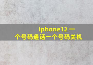 iphone12 一个号码通话一个号码关机